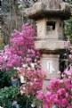 Picture Title - Stone Lantern, Pink Flowers.