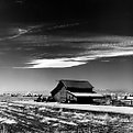 Picture Title - Rural Infrared