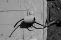 Picture Title - Shutter Latch