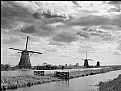 Picture Title - Mills of Kinderdijk