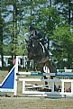 Picture Title - Show Jumping 