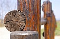 Picture Title - Wood fence