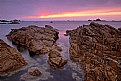 Picture Title - Westcoast - Guernsey