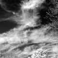 Picture Title - IR Sky