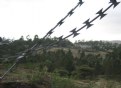Picture Title - Addis Barbed Vision