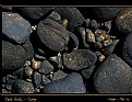 Picture Title - Black Rocks of Coega