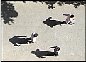 Picture Title - Shadows