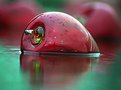 Picture Title - Chihuly's apple