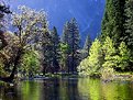 Picture Title - Yosemite Park  And The Range Of Light