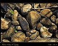 Picture Title - Yellow rocks of Coega