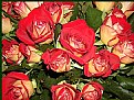 Picture Title - rose bouquet....