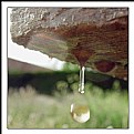 Picture Title - The Drop