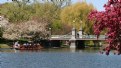 Picture Title - Boston Garden Springtime