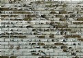 Picture Title - The Braille Wailing Wall