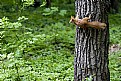 Picture Title - Where is it