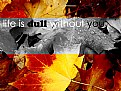 Picture Title - Life is Dull Without You