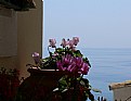 Picture Title - seascape and flowers