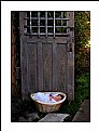 Picture Title - Basket Baby