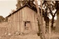 Picture Title - Old Shed