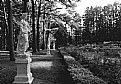 Picture Title - Yaddo Gardens