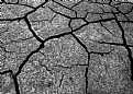 Picture Title - Cracked Earth