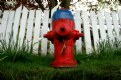 Picture Title - Hydrant