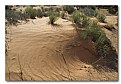 Picture Title - Sand Swirl