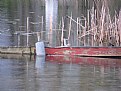Picture Title - dock, sinking