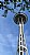 Space Needle