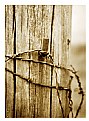 Picture Title - Fence Post