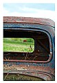 Picture Title - Cattle through old car window