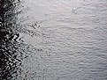 Picture Title - Water 