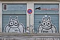 Picture Title - Urban cats