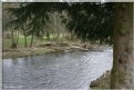 Picture Title - A Quiet River