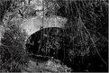 Picture Title - Bridge at Lost Lagoon