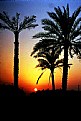 Picture Title - desert sunset
