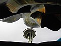 Picture Title - Space Needle Abstract