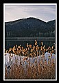 Picture Title - The silence of lake