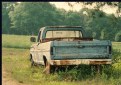 Picture Title - Old Truck: Returning to Nature: 2006