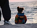 Picture Title - watching the sunset with dad