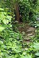 Picture Title - Garden Path