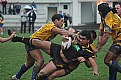 Picture Title - rugby league