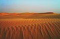 Picture Title - Windy evening in desert..