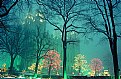 Picture Title - Salt Lake temple, fog, Christmas lights.