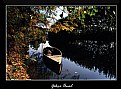 Picture Title - Autumn In Tunca
