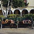 Picture Title - boys asleep mid morning