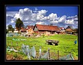 Picture Title - Farm