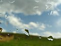 Picture Title - Rain