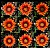 Orange Flower Collage