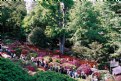 Picture Title - Row of Torii